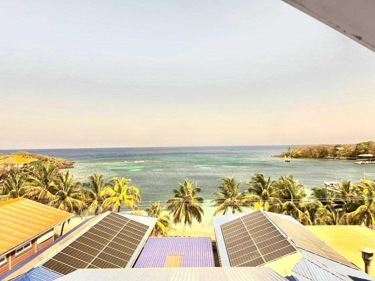 Mr. Tucan Hotel ويست ايند المظهر الخارجي الصورة